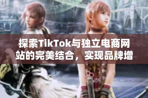 探索TikTok与独立电商网站的完美结合，实现品牌增长新机遇