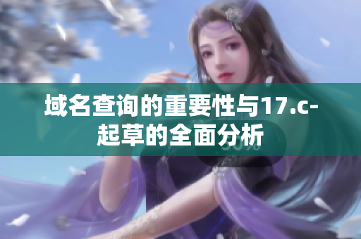 域名查询的重要性与17.c-起草的全面分析
