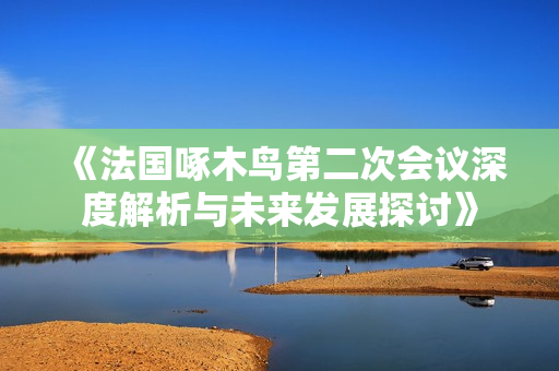 《法国啄木鸟第二次会议深度解析与未来发展探讨》