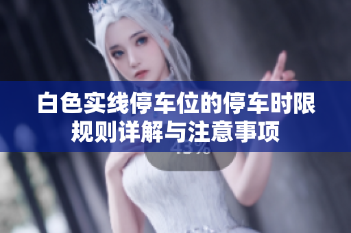 白色实线停车位的停车时限规则详解与注意事项