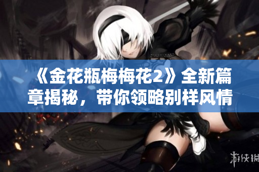 《金花瓶梅梅花2》全新篇章揭秘，带你领略别样风情与动人故事