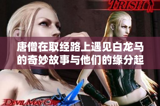 唐僧在取经路上遇见白龙马的奇妙故事与他们的缘分起源