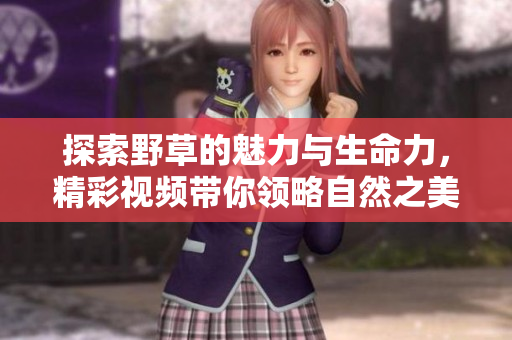 探索野草的魅力与生命力，精彩视频带你领略自然之美