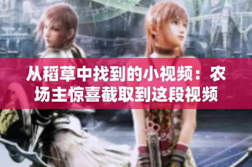 从稻草中找到的小视频：农场主惊喜截取到这段视频