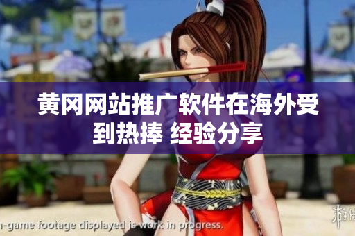 黄冈网站推广软件在海外受到热捧 经验分享