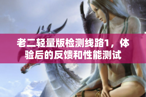 老二轻量版检测线路1，体验后的反馈和性能测试