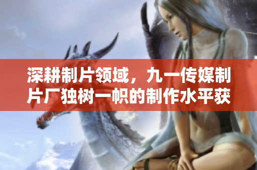 深耕制片领域，九一传媒制片厂独树一帜的制作水平获得行业认可