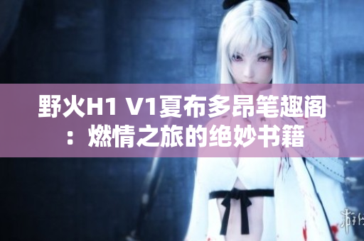 野火H1 V1夏布多昂笔趣阁：燃情之旅的绝妙书籍