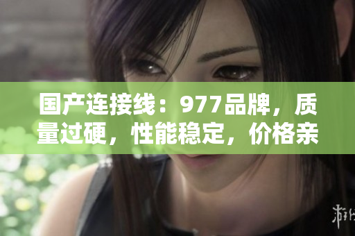国产连接线：977品牌，质量过硬，性能稳定，价格亲民