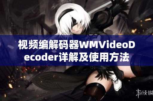 视频编解码器WMVideoDecoder详解及使用方法