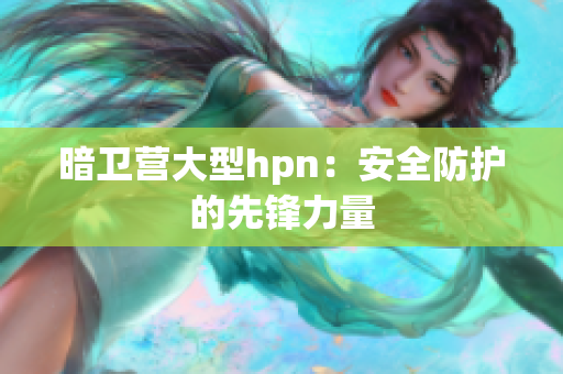 暗卫营大型hpn：安全防护的先锋力量
