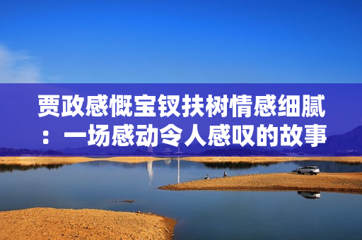 贾政感慨宝钗扶树情感细腻：一场感动令人感叹的故事