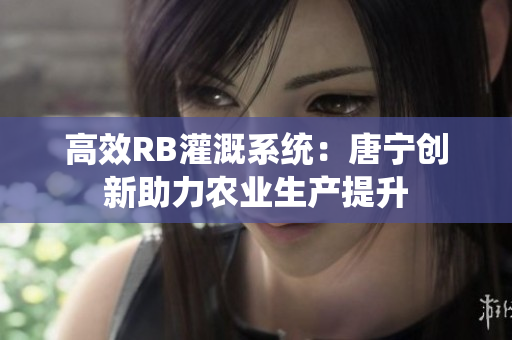 高效RB灌溉系统：唐宁创新助力农业生产提升