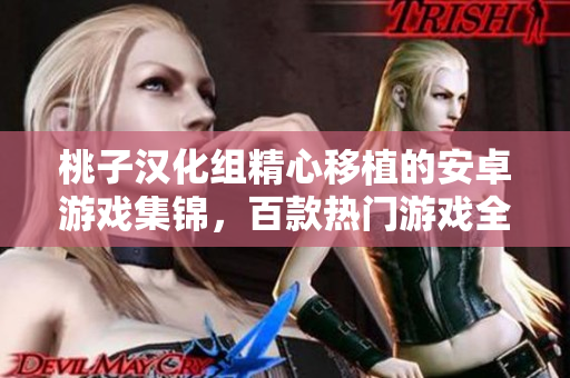 桃子汉化组精心移植的安卓游戏集锦，百款热门游戏全览！