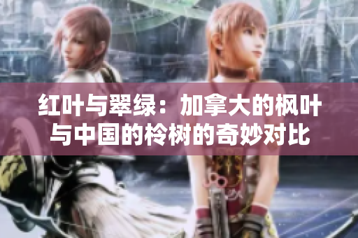 红叶与翠绿：加拿大的枫叶与中国的柃树的奇妙对比