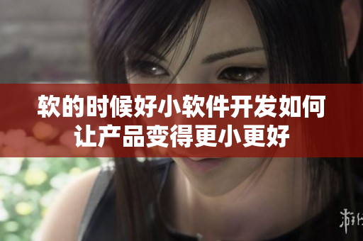 软的时候好小软件开发如何让产品变得更小更好