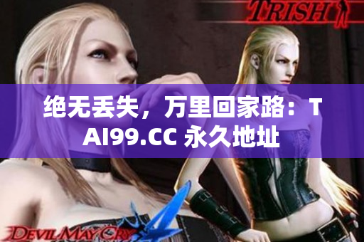 绝无丢失，万里回家路：TAI99.CC 永久地址