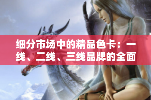 细分市场中的精品色卡：一线、二线、三线品牌的全面比较