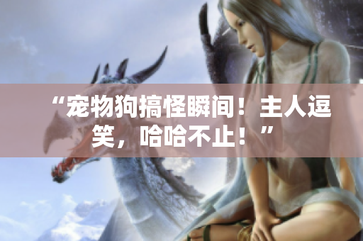 “宠物狗搞怪瞬间！主人逗笑，哈哈不止！”