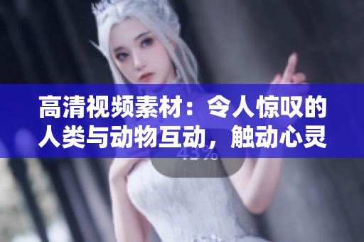 高清视频素材：令人惊叹的人类与动物互动，触动心灵