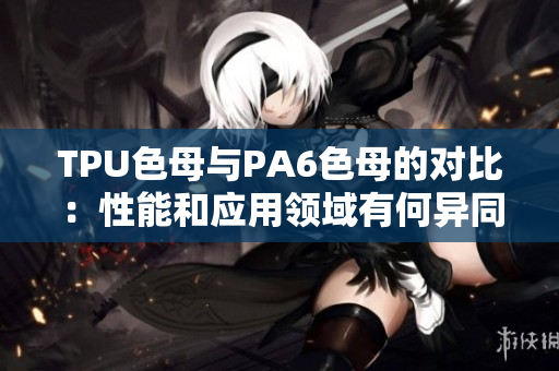 TPU色母与PA6色母的对比：性能和应用领域有何异同？