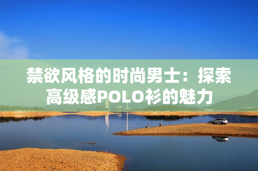 禁欲风格的时尚男士：探索高级感POLO衫的魅力