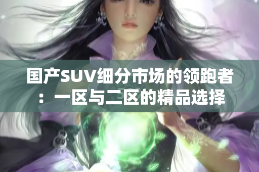 国产SUV细分市场的领跑者：一区与二区的精品选择