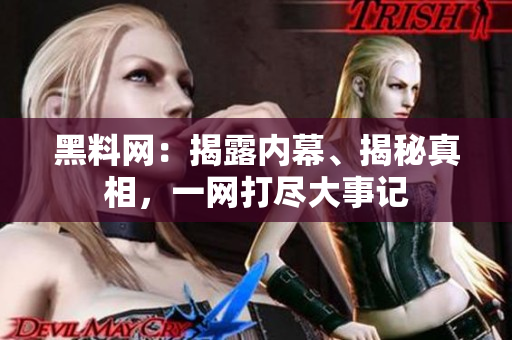 黑料网：揭露内幕、揭秘真相，一网打尽大事记
