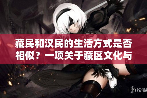 藏民和汉民的生活方式是否相似？一项关于藏区文化与汉区的比较研究