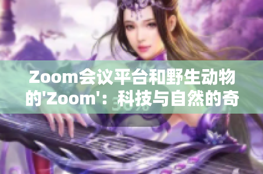 Zoom会议平台和野生动物的'Zoom'：科技与自然的奇妙对话