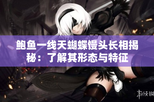 鲍鱼一线天蝴蝶馒头长相揭秘：了解其形态与特征