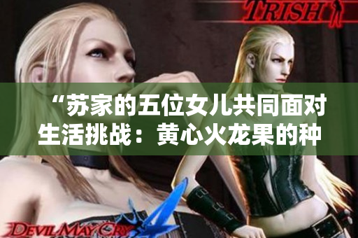 “苏家的五位女儿共同面对生活挑战：黄心火龙果的种植与传承之路”