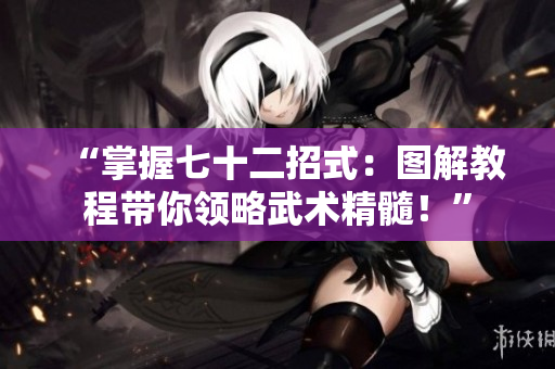 “掌握七十二招式：图解教程带你领略武术精髓！”