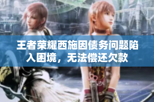 王者荣耀西施因债务问题陷入困境，无法偿还欠款