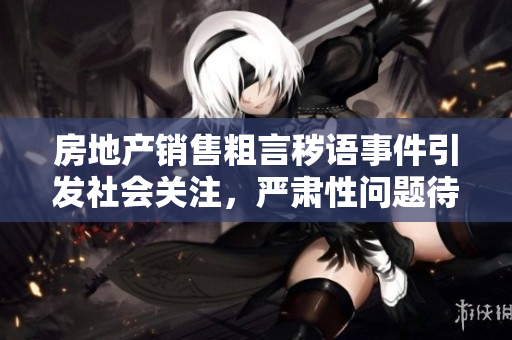 房地产销售粗言秽语事件引发社会关注，严肃性问题待解决