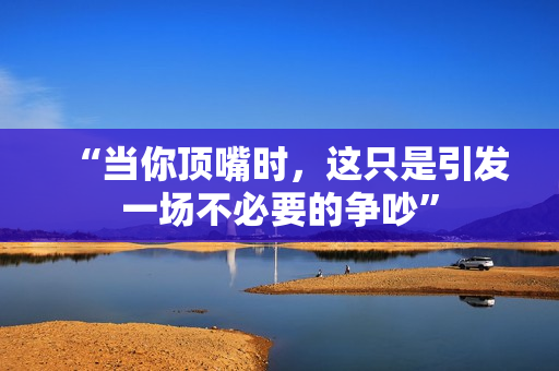 “当你顶嘴时，这只是引发一场不必要的争吵”