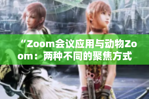 “Zoom会议应用与动物Zoom：两种不同的聚焦方式”