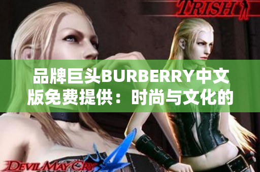 品牌巨头BURBERRY中文版免费提供：时尚与文化的完美交融