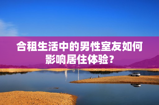 合租生活中的男性室友如何影响居住体验？