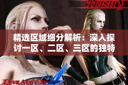 精选区域细分解析：深入探讨一区、二区、三区的独特魅力