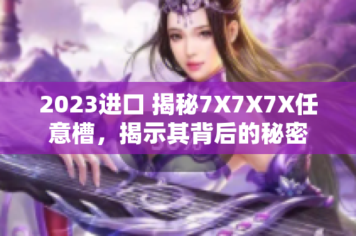 2023进口 揭秘7X7X7X任意槽，揭示其背后的秘密