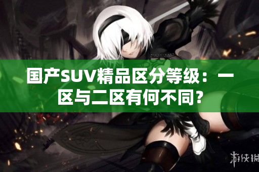 国产SUV精品区分等级：一区与二区有何不同？