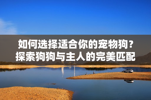如何选择适合你的宠物狗？探索狗狗与主人的完美匹配