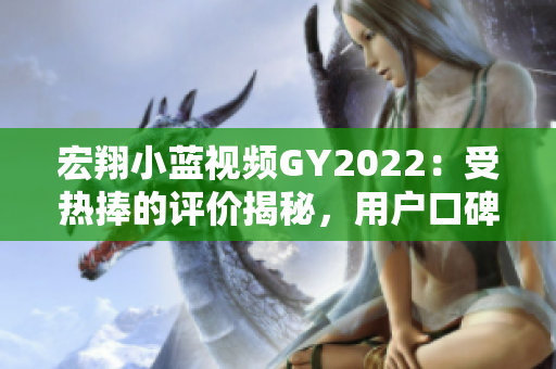 宏翔小蓝视频GY2022：受热捧的评价揭秘，用户口碑如何？