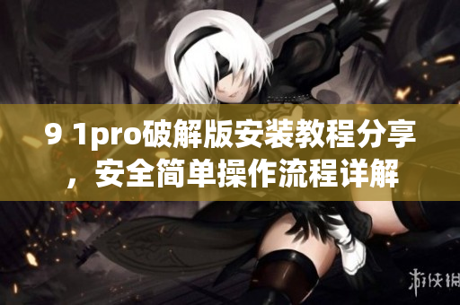 9 1pro破解版安装教程分享，安全简单操作流程详解