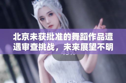 北京未获批准的舞蹈作品遭遇审查挑战，未来展望不明确