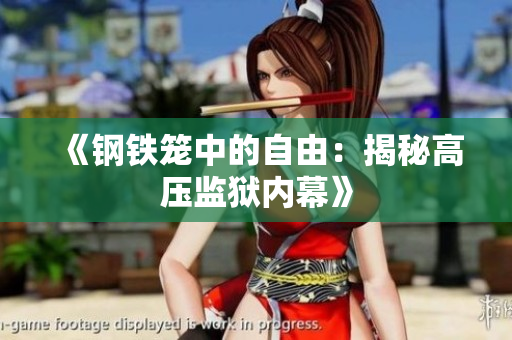 《钢铁笼中的自由：揭秘高压监狱内幕》