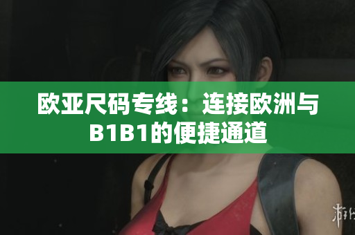 欧亚尺码专线：连接欧洲与B1B1的便捷通道