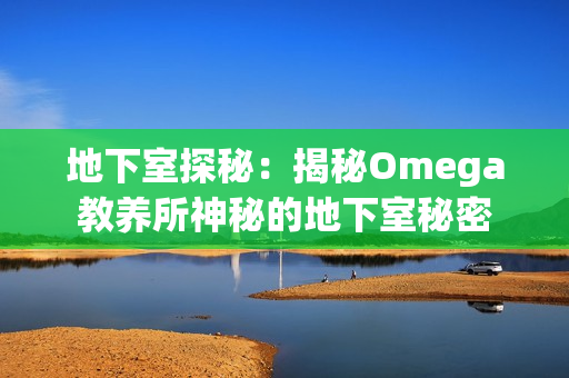 地下室探秘：揭秘Omega教养所神秘的地下室秘密