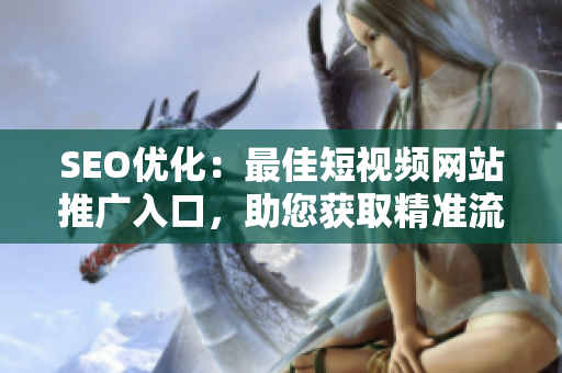 SEO优化：最佳短视频网站推广入口，助您获取精准流量